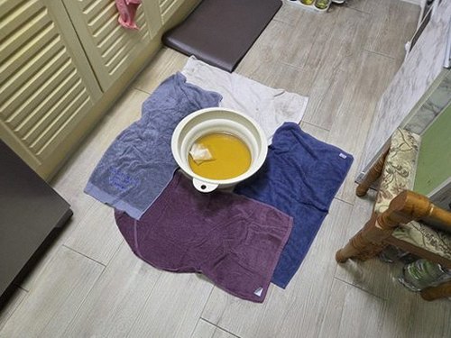 대덕구 전화 연결