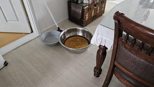 구로구 누수탐지 거실 벽지 하단 변색 부위와 측정 장비 점검 장면
