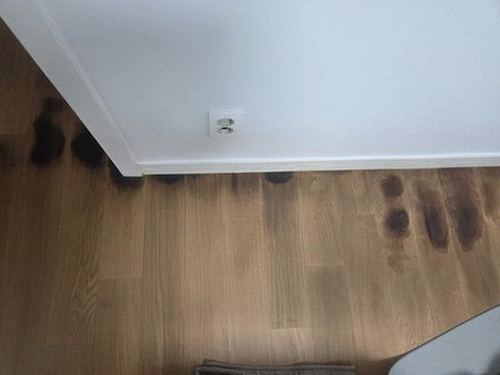연제구 누수탐지 거실 천장과 벽지 얼룩 비교 점검 장면