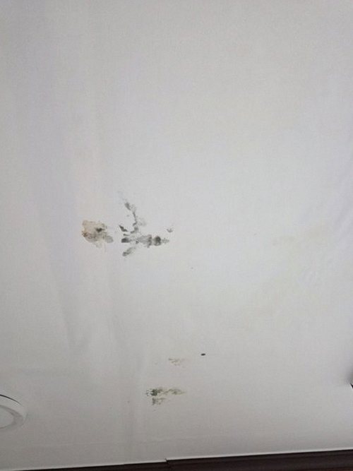 청주시 흥덕구 누수탐지 옥산면 누수탐지 아파트 안방 도배 변색 처치 전후 비교