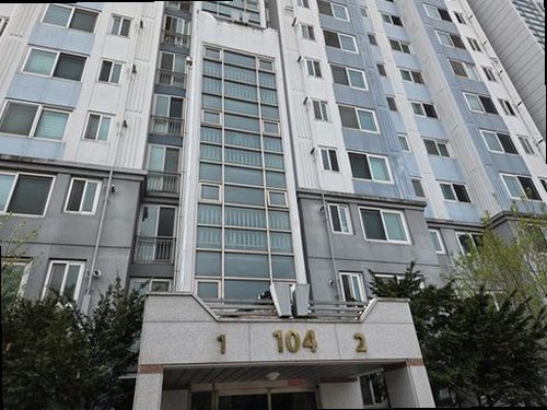 구리 누수탐지 공압 게이지와 열화상 카메라로 배관 누수 위치를 확인하는 과정