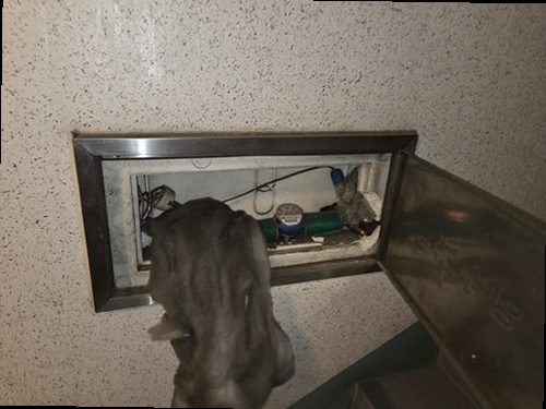 의왕 누수탐지 천장 얼룩과 바닥 주변 수분 흔적을 확인하는 현장
