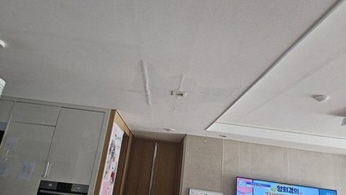 빌라 벽체 누수 피해 복원 원미구 누수탐지 빌라 벽체 누수 피해 복원