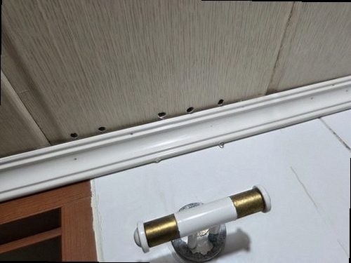 종로구 누수탐지 욕실 바닥과 천장 피해 부위를 비교하는 누수 점검 현장