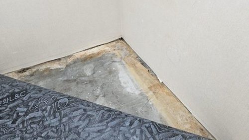 홍파동 누수탐지 거실 벽지 물자국과 벽 하단 젖음 흔적을 관찰하는 장면