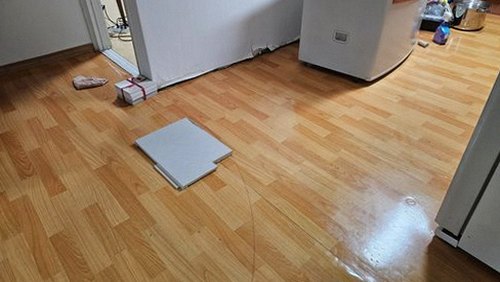 파주 재점검 기록 파주 재점검 기록