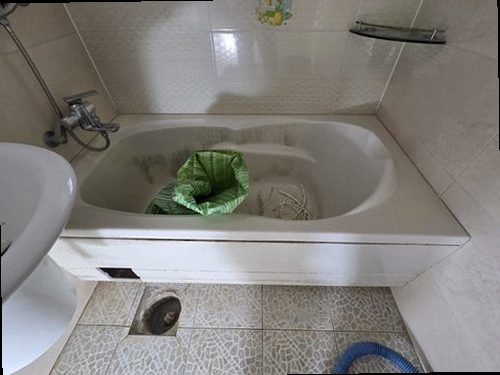 충북 현장 진단 충북 현장 진단