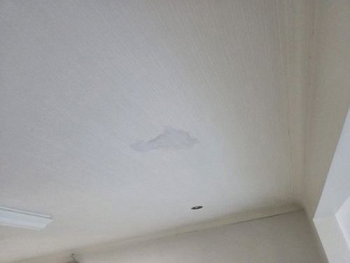 고양 근거 설명 고양 근거 설명