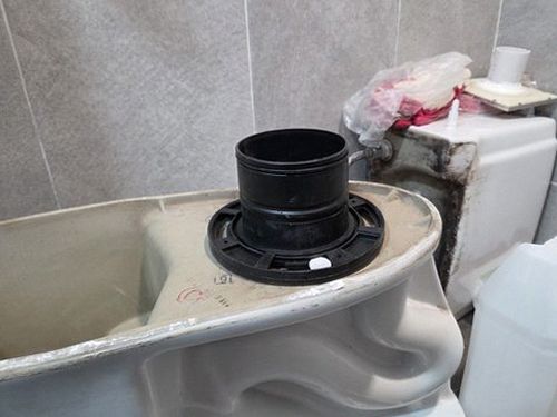 안산 함께 확인 안산 함께 확인