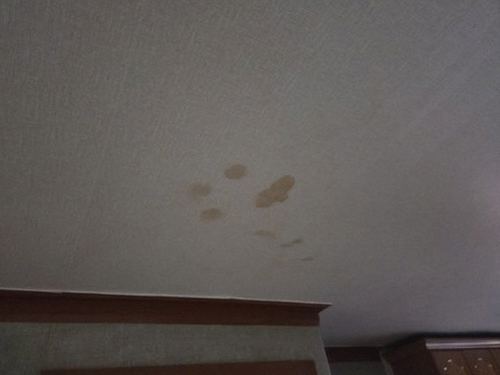 안양 누수탐지 아파트 안방 천장 물고임 원인별 확인법