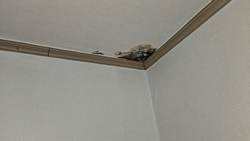 삼성동 상가 2층 천장 안쪽 시공 후기 사진