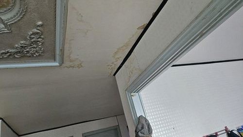 신사동 재점검 기록