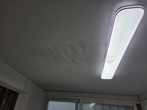 신사동 근거 설명