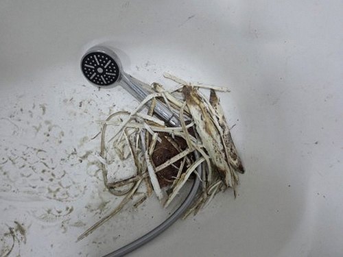 삼양동 다세대주택 2층 복도 천장 시공 후기 사진