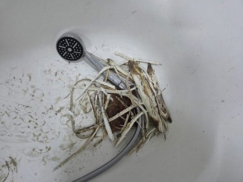 낙성대동 아파트 11층 욕실 시공 후기 사진