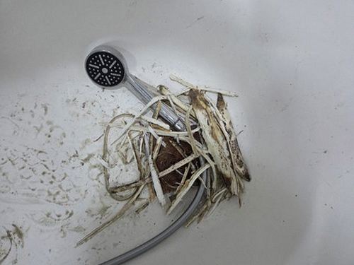 난향동 오피스텔 7층 욕실 문턱 시공 후기 사진