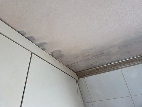성현동 오피스텔 6층 공용 복도 시공 후기 사진