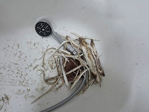 신사동 오피스텔 9층 현관 옆 벽면 시공 후기 사진