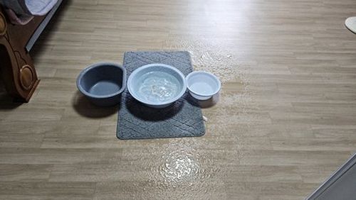 신사동 아파트 5층 거실 바닥 시공 후기 사진