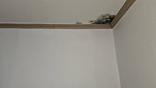 천왕동 오피스텔 7층 보일러실 시공 후기 사진