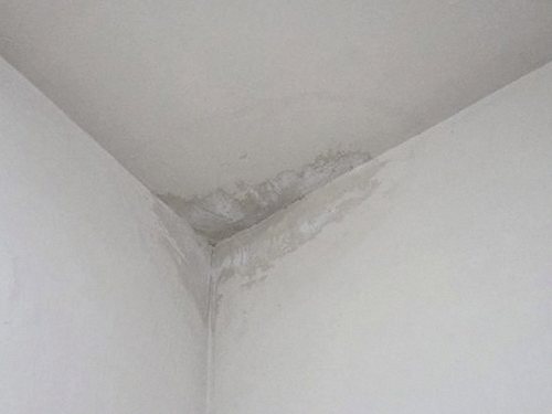 쌍문동 다세대주택 3층 현관 시공 후기 사진
