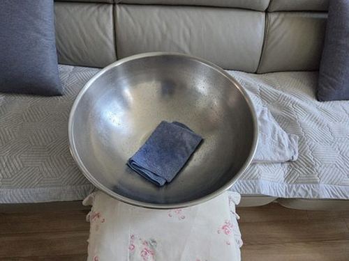 동교동 출동 접수