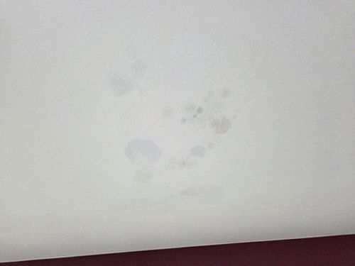 냉천동 연립주택 1층 세탁실 시공 후기 사진