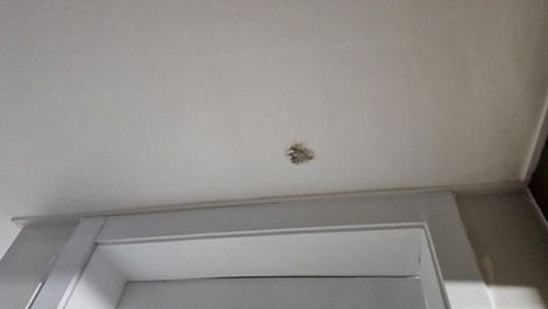 마곡동 상가주택 지하 주차장 천장 시공 후기 사진