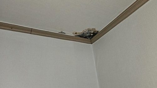 우장산동 누수탐지 등촌동 아파트 12층 보일러실 시공 후기 사진