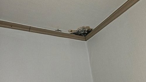 남창동 빌라 2층 작은방 창가 시공 후기 사진
