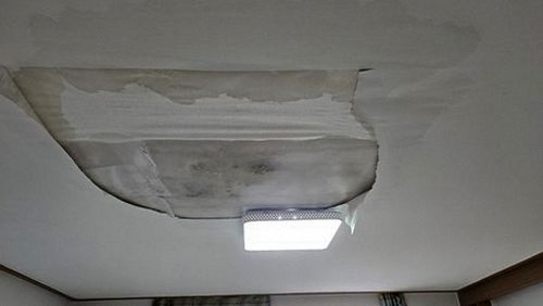 산림동 상가건물 1층 복도 시공 후기 사진