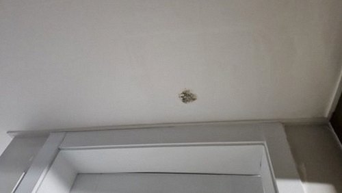 양재동 다세대주택 2층 보일러실 시공 후기 사진