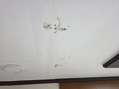 성수동 아파트 8층 현관 앞 복도 시공 후기 사진
