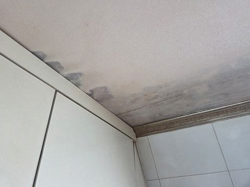 보문동 다세대주택 2층 복도 시공 후기 사진
