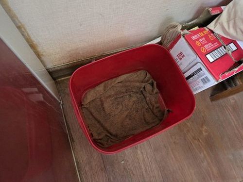 방이동 아파트 11층 거실 벽면 시공 후기 사진