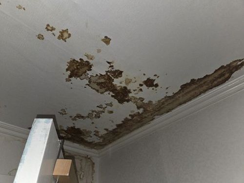 대림동 현장 확인