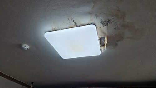 신사동 공정 확정