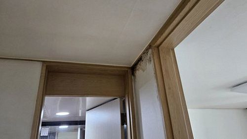 교남동 현장 확인