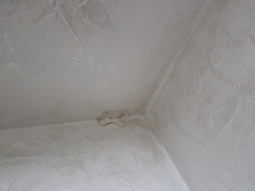 팔판동 다가구주택 옥상 아래 계단실 시공 후기 사진