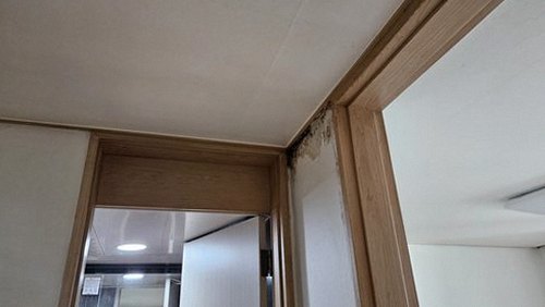 효자동 현장 확인
